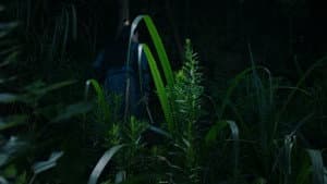 Episodio 8
