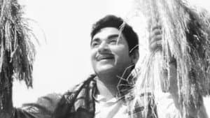 ಬಂಗಾರದ ಮನುಷ್ಯ — foto 1