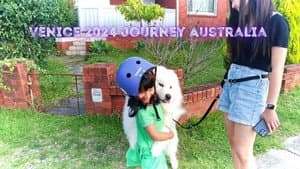 Venice 2024 Journey Australia — foto 2