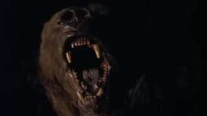 Wild Grizzly — foto 1