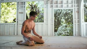 Dancer — foto 3