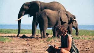 A Life Among Elephants — foto 4