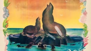 Seal Island — foto 3