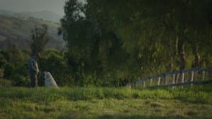 Mi gran pequeña granja — foto 5