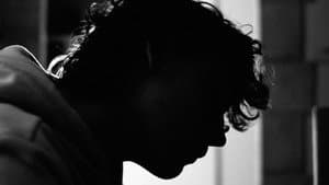 Hide and seek — foto 2