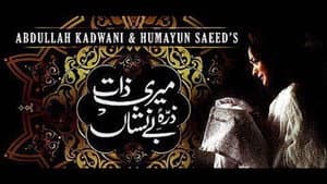 ميرى ذات ذرہ بے نشاں — foto 1