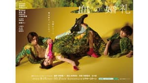 血の婚礼 — foto 1