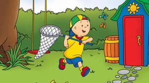 Caillou — foto 10