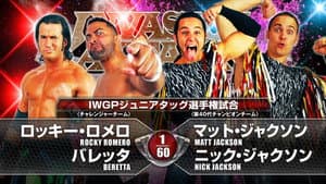 NJPW Invasion Attack 2015 — foto 5