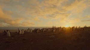 Earth: One Amazing Day — foto 2