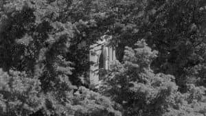 Materia vibrante — foto 2