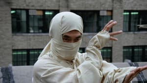 New York Ninja — foto 4