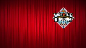 NJPW Wrestle Kingdom 20 — foto 7