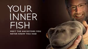 Your Inner Fish — foto 1