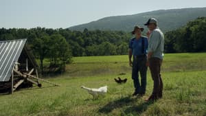 La ferme et son état — foto 4