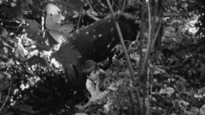Episodio 9