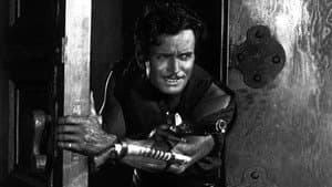 The Black Pirate — foto 5