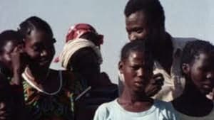 Paweogo — foto 1
