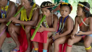 Amazonie, les murmures de la forêt — foto 2