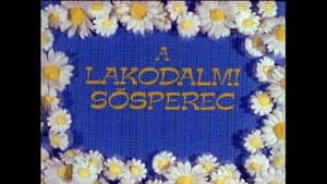 Episodio 12