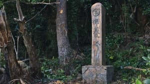 綠色牢籠 — foto 6