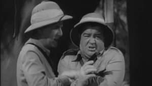 Abbott y Costello: África viva — foto 5