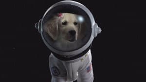 Space Buddies — foto 9