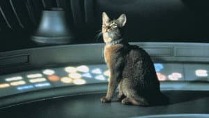 The Cat from Outer Space — foto 2