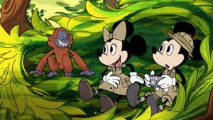 Mickey Go Local — foto 2