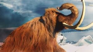 Mammoth Unearthed — foto 1