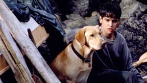 Far from Home: The Adventures of Yellow Dog — foto 3