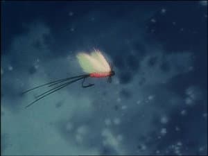 Episodio 10
