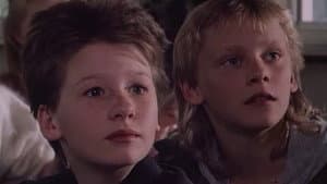 Dårfinkar & Dönickar: The Movie — foto 1