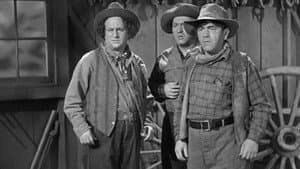 The Three Troubledoers — foto 2