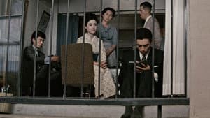 しとやかな獣 — foto 5