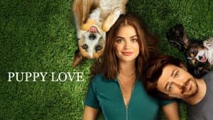 Amor De Cachorros — foto 12