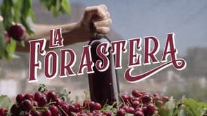 La forastera — foto 1