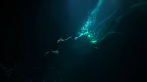 The Sign — foto 6