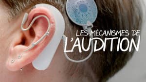 Les mécanismes de l’audition - Une ouïe très fine — foto 1
