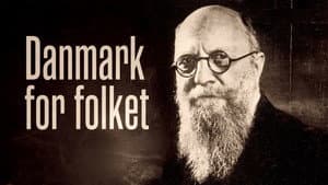 Danmark for Folket — foto 1
