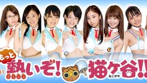 熱波が猫の穀 — foto 1