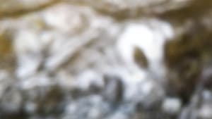Metamorfose — foto 1