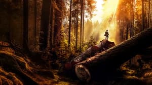 Hombres del Bosque al Límite — foto 1