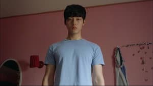 고열 — foto 2