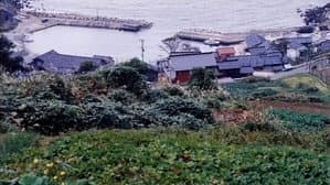 生まれた場所 — foto 2