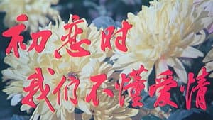初恋时我们不懂爱情 — foto 1
