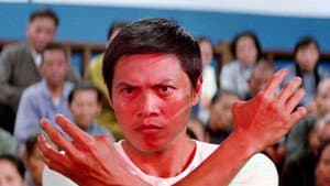天下第一拳 — foto 7