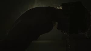 Attrition — foto 1