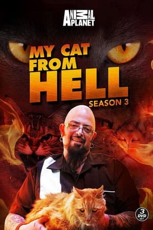 Temporada 3