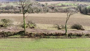 Le village qui voulait replanter des arbres — foto 1